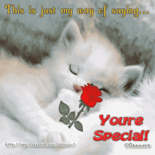 Youre Special This Is Just My Way Of Saying GIF - Youre Special This Is Just My Way Of Saying Cat GIFs