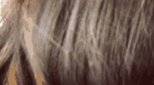 Assi Hair And Beauty Curly Hair GIF - Assi Hair And Beauty Curly Hair Beautiful GIFs