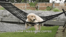 Chilling Relaxing GIF