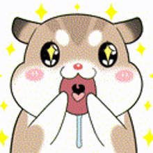 Hamsters So Excited GIF - Hamsters So Excited Drooling GIFs