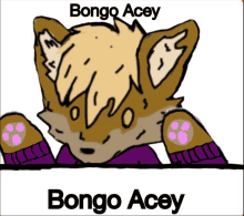 Furry Acey GIF - Furry Acey Bongo GIFs