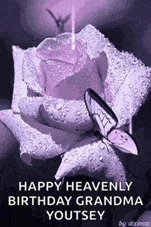 a butterfly is sitting on top of a purple rose with water drops on it .