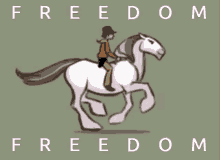 Freedom Free Horse GIF