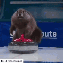 GIF