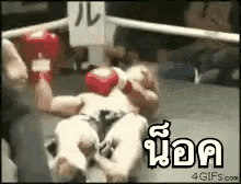 น็อค ต่อยมวย GIF - Boxing Knocked Hurt GIFs