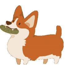 national pickle day corgi pickle dogs pickles