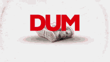 Dum Dum GIF - Dum Dum GIFs