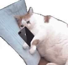 GIF
