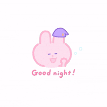 rabbit bunny pink cute good night