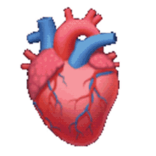 anatomical heart beating heart oddly terrifying heart