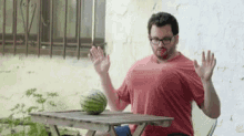 Watermelons Boobs GIF - Watermelons Melons Boobs GIFs