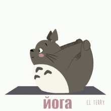 тоторо йога фитнес спорт GIF - Totoro Yoga Fitness GIFs