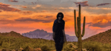a man stands in the desert near a cactus at sunset