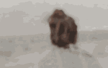 a woman with her hair in a bun is standing in front of a mountain in the desert .