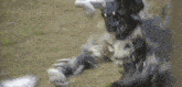 a close up of a monster standing on top of a grassy field .