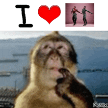 a picture of a monkey with a heart and the word i above it