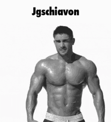 Jgschiavon Schiavon GIF