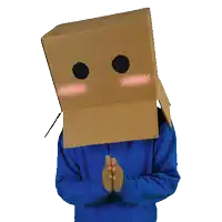 a person with a cardboard box on their head with a face on it