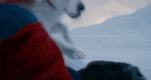 a person in a red jacket is holding a white dog in their arms in the snow .