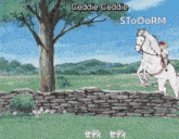 a cartoon of a horse jumping over a stone wall with the names ceeddie and stooorm on the bottom
