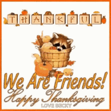 Thankful For You Happy Thanksgiving GIF - Thankful For You Happy Thanksgiving Thanksgiving GIFs