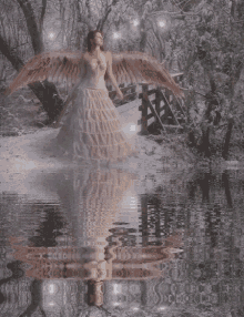 Angel Reflection GIF - Angel Reflection Water GIFs