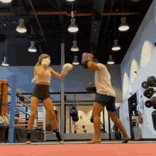 Women Kickboxing GIF - Women Kickboxing Mma GIFs