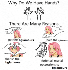 why do we have hands there are many reasons pat the bglamours hold the bglamours cherish the bglamours