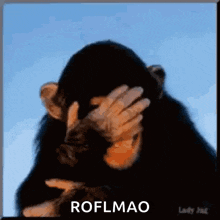 a chimpanzee is covering his face with his hand and the caption roflmao is below him