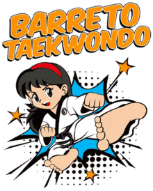 taekwondo barreto