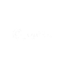 a white background with the words chinh em cung phai bat in black letters