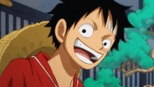 One Piece Luffy GIF - One Piece Luffy Wano GIFs