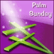 Palm Sunday Catholic GIF - Palm Sunday Catholic Palms GIFs