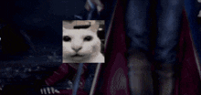 Goddio Uncanny Cat Uncanny Cat Dmc Meme GIF - Goddio Uncanny Cat Uncanny Cat Dmc Meme Uncanny Cat Dmc GIFs