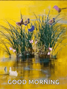 Butterfly Rose GIF - Butterfly Rose Swamp GIFs
