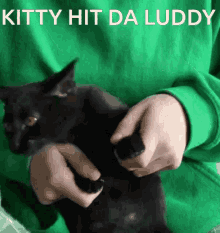 Cat Cat Dance GIF - Cat Cat Dance Luddy GIFs