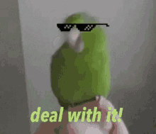 ouh ya deal with it parrot