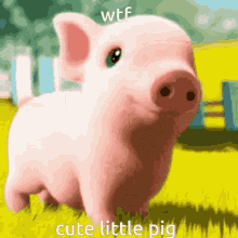 Wtf Cute Little Pig GIF - Wtf Cute Little Pig Pig GIFs
