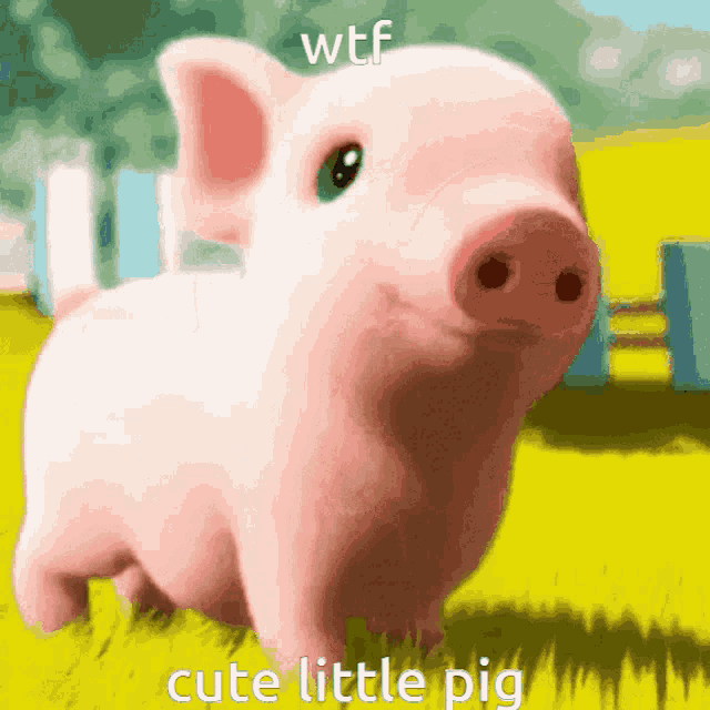 Wtf Cute Little Pig GIF - Wtf Cute Little Pig Pig GIFs