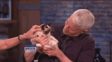 National Treasures GIF - Anderson Cooper Grumpy Cat Meme GIFs