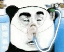a panda bear wearing an oxygen mask is standing next to a bottle of oxygen .