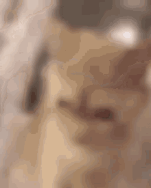 a close up of a person 's face with a blurry background .