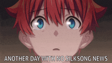 another day with no silksong news is written below a picture of a boy