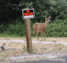 No Trespassing Breaking The Law GIF