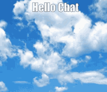 Chat Hello GIF - Chat Hello GIFs