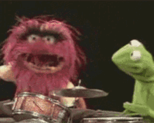 Drums Drumroll GIF - Drums Drumroll Muppets GIFs