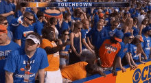 Tennessee Fan Having A Good Time GIF