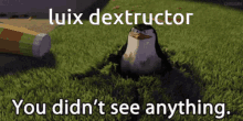 Luix Dextructor You Saw Nothing GIF - Luix Dextructor You Saw Nothing You Didnt See Anything GIFs