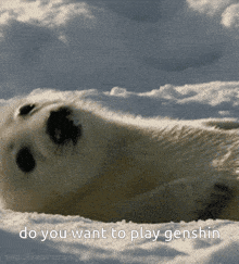 Seal Genshin Impact GIF - Seal Genshin Impact Do You Want To Play Genshin GIFs