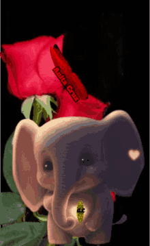 Elefantito GIF - Elefantito GIFs